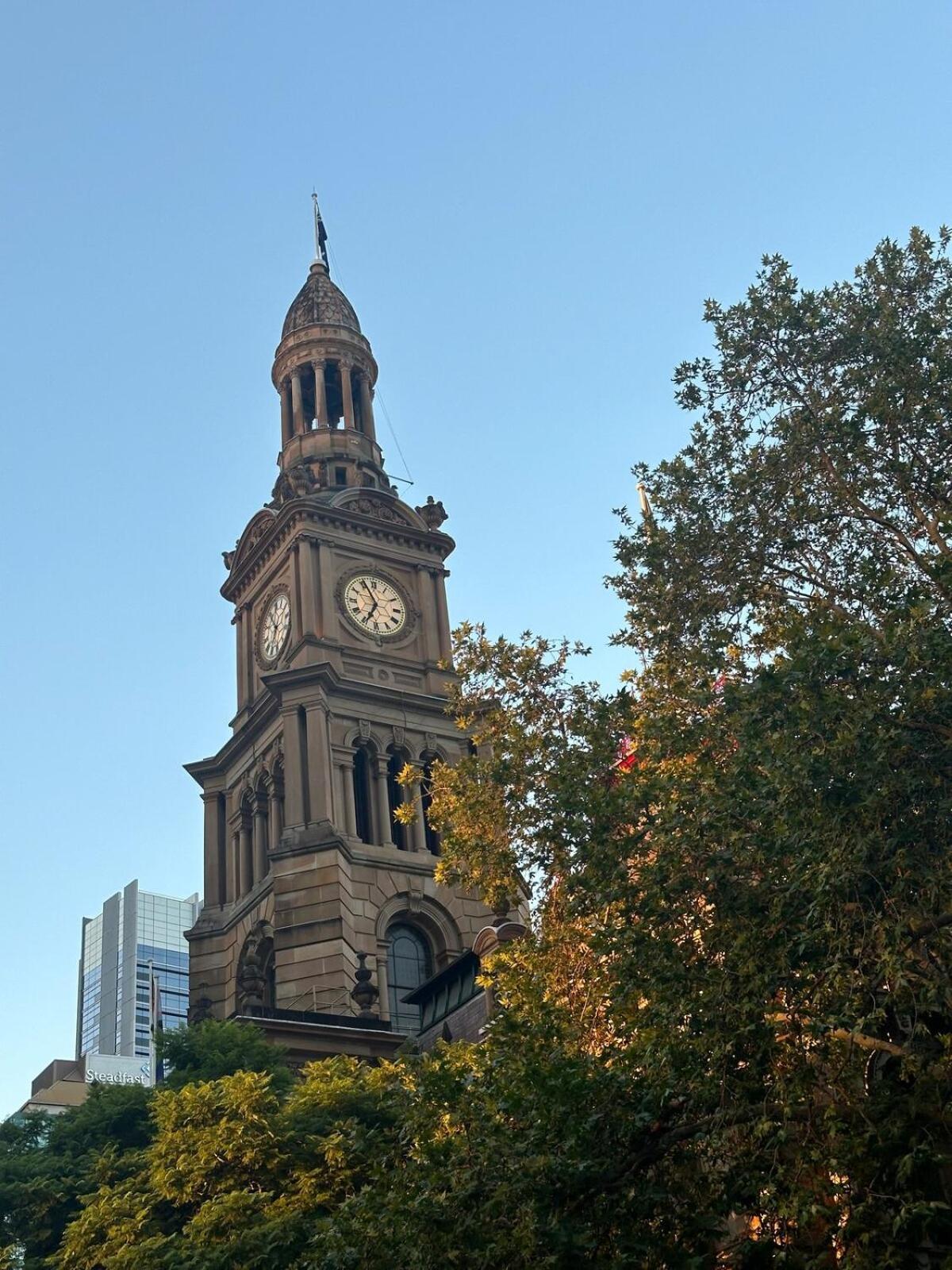 Cbd With High Speed Wifi