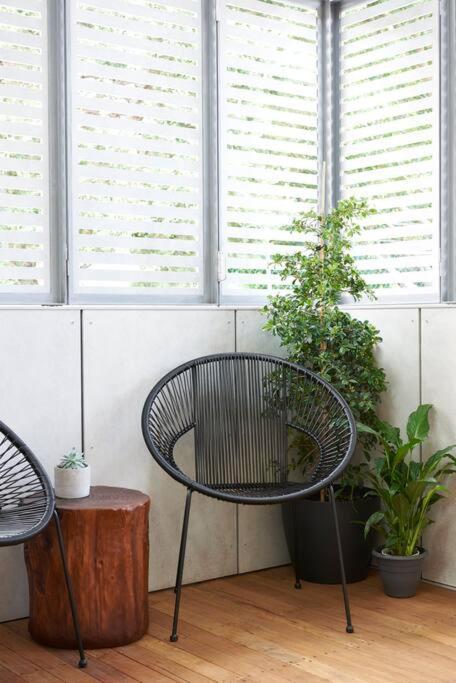 Gorgeous Glebe Loft Living
