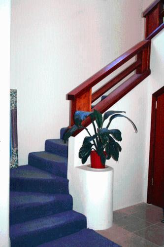 Bondi Beach Apartments Aparthotel