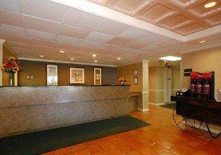 Comfort North Shore Hotel 4*