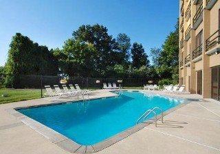Comfort North Shore Hotel 4*