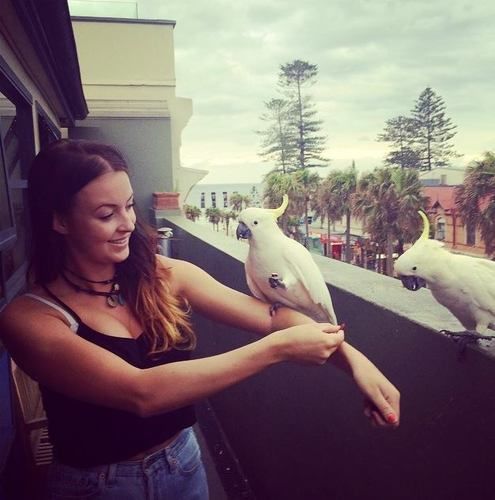 Boardrider Backpackers And Budget Sydney