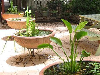 Bed & Breakfast Burwood 3*
