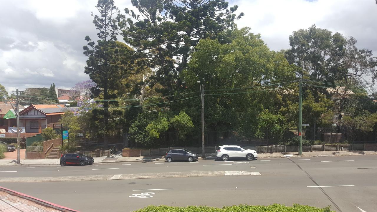 Orange Grove