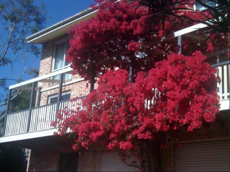 Acomodação com café da manhã  Linley House 3*