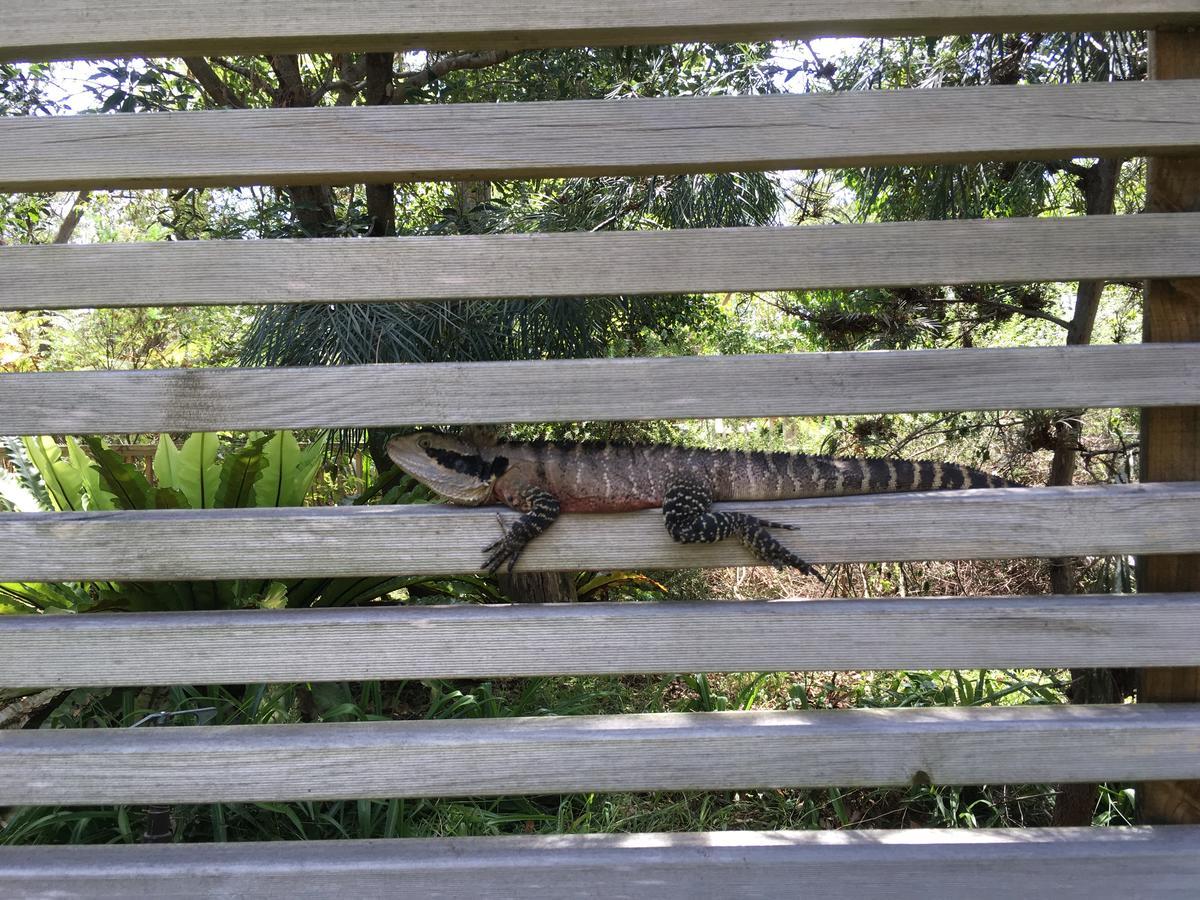 Discovery Parks - Lane Cove Sydney