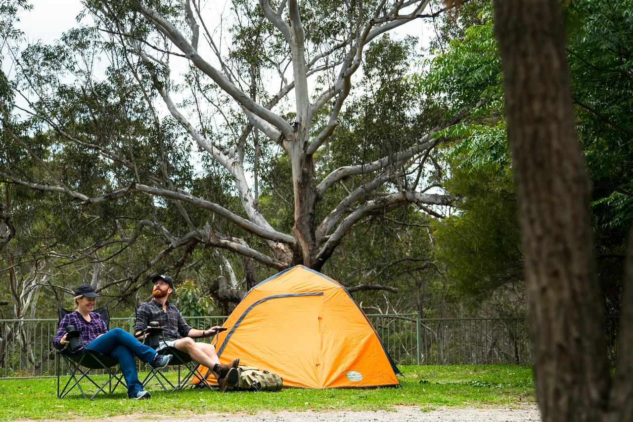 Discovery Parks - Lane Cove Holiday park