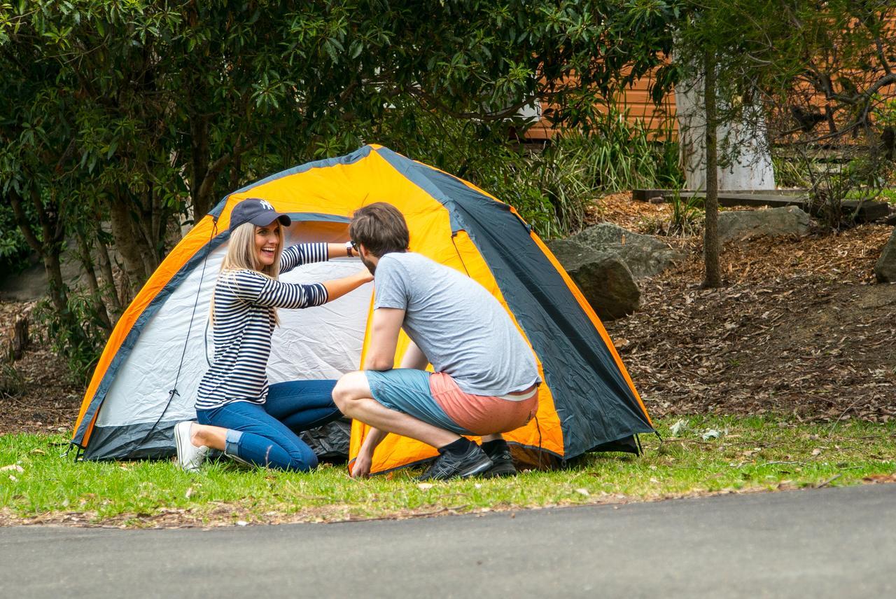 Holiday park Discovery Parks - Lane Cove