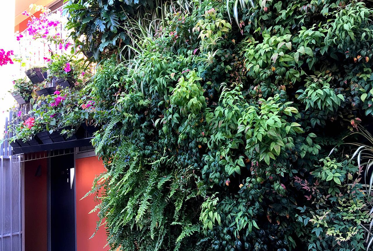 Original Backpackers Albergue Sidney