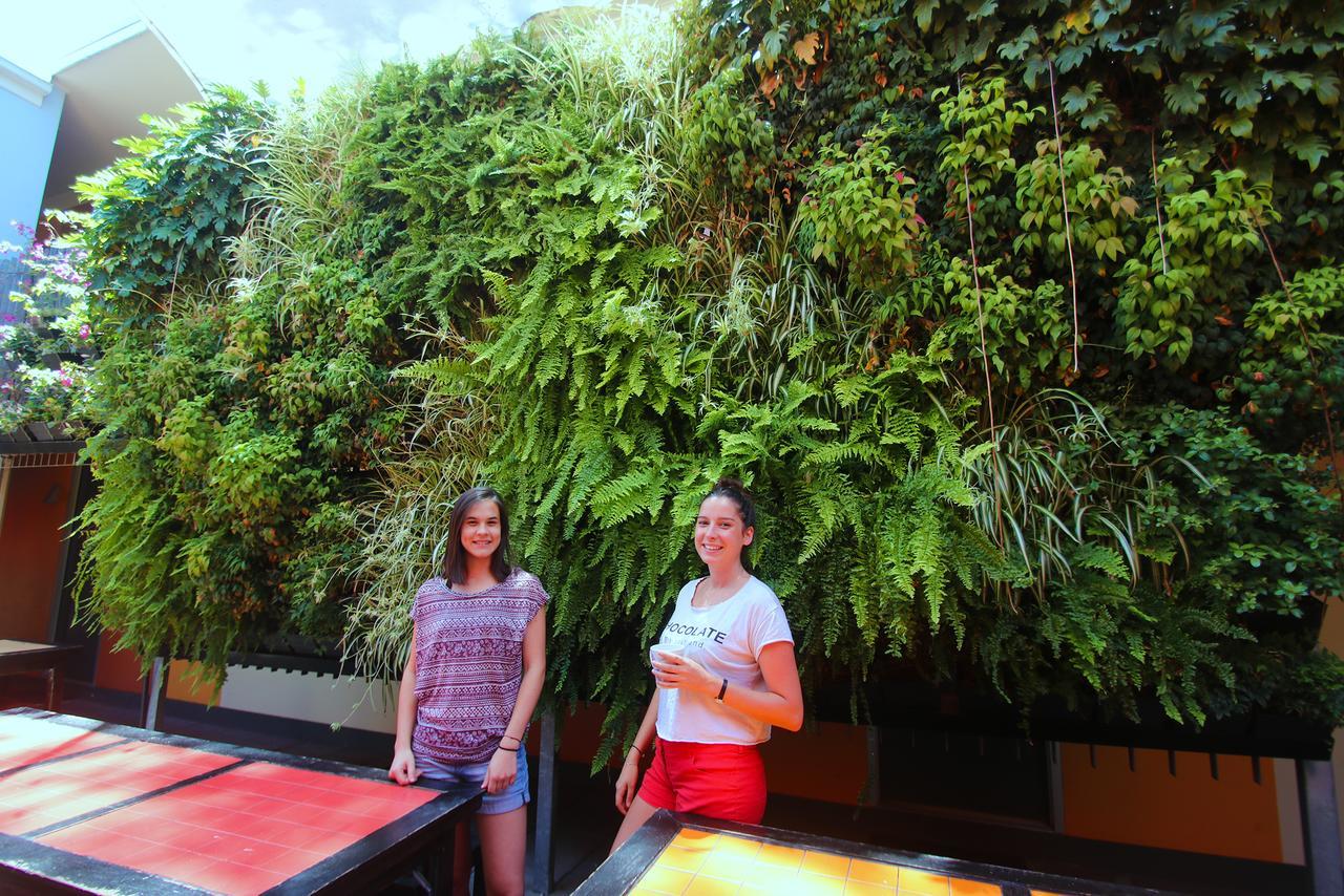 Original Backpackers Albergue *