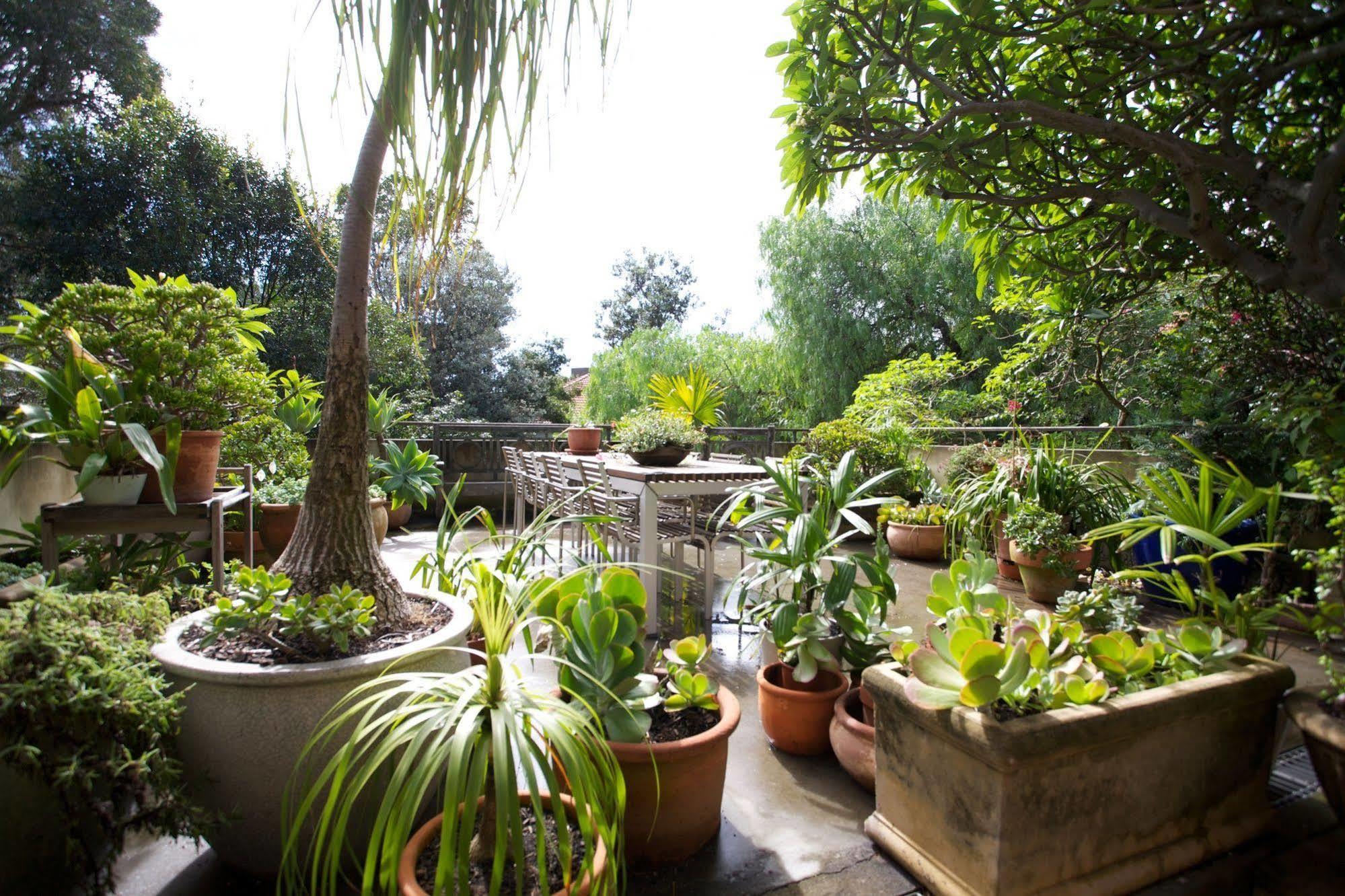Bed & Breakfast Bondi House Sydney