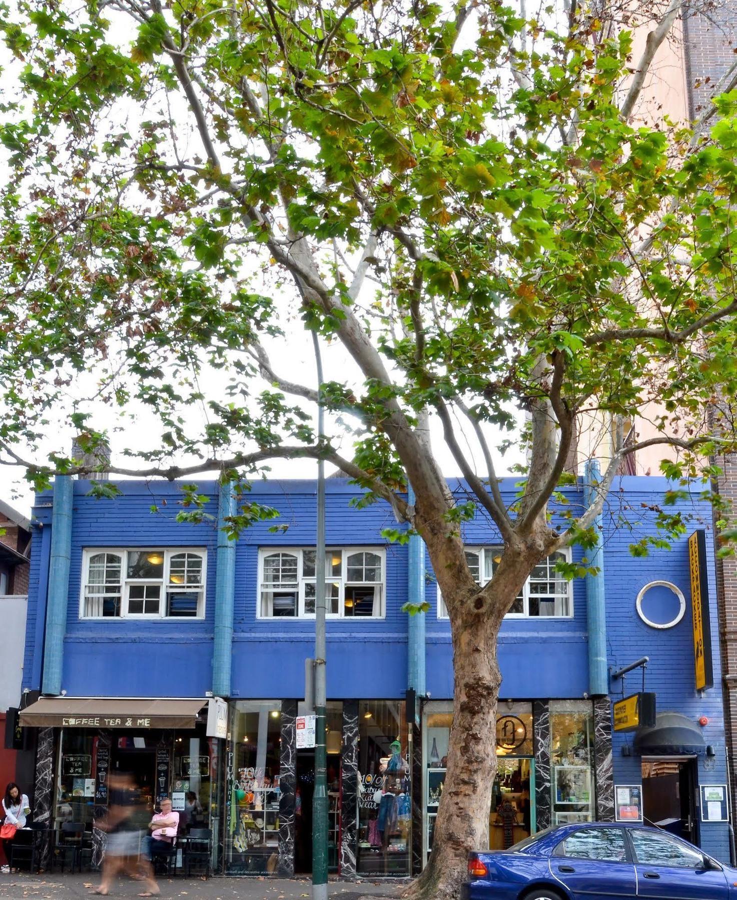 Blue Parrot Youth Hostel Hostel Sydney
