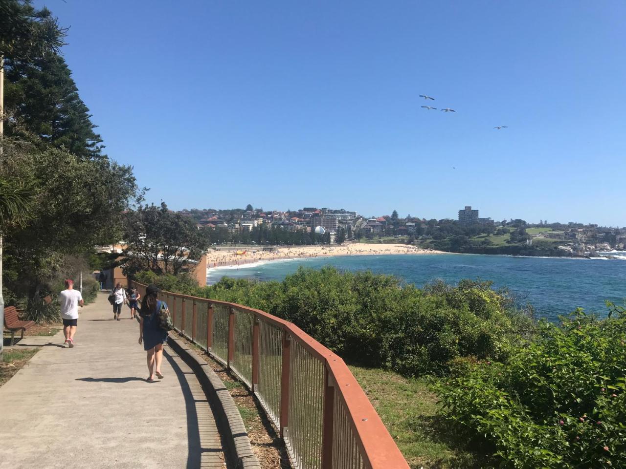 Cozzystay Coogee
