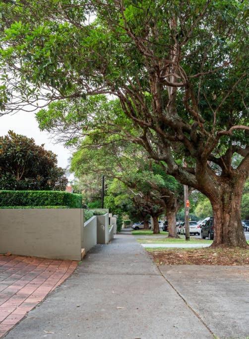Apartment The Great Escape Bellevue Hill