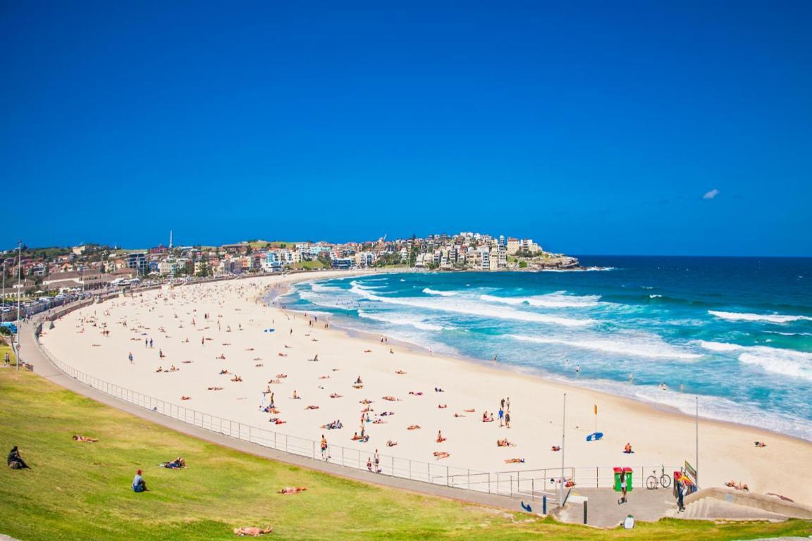 Bondi King 1
