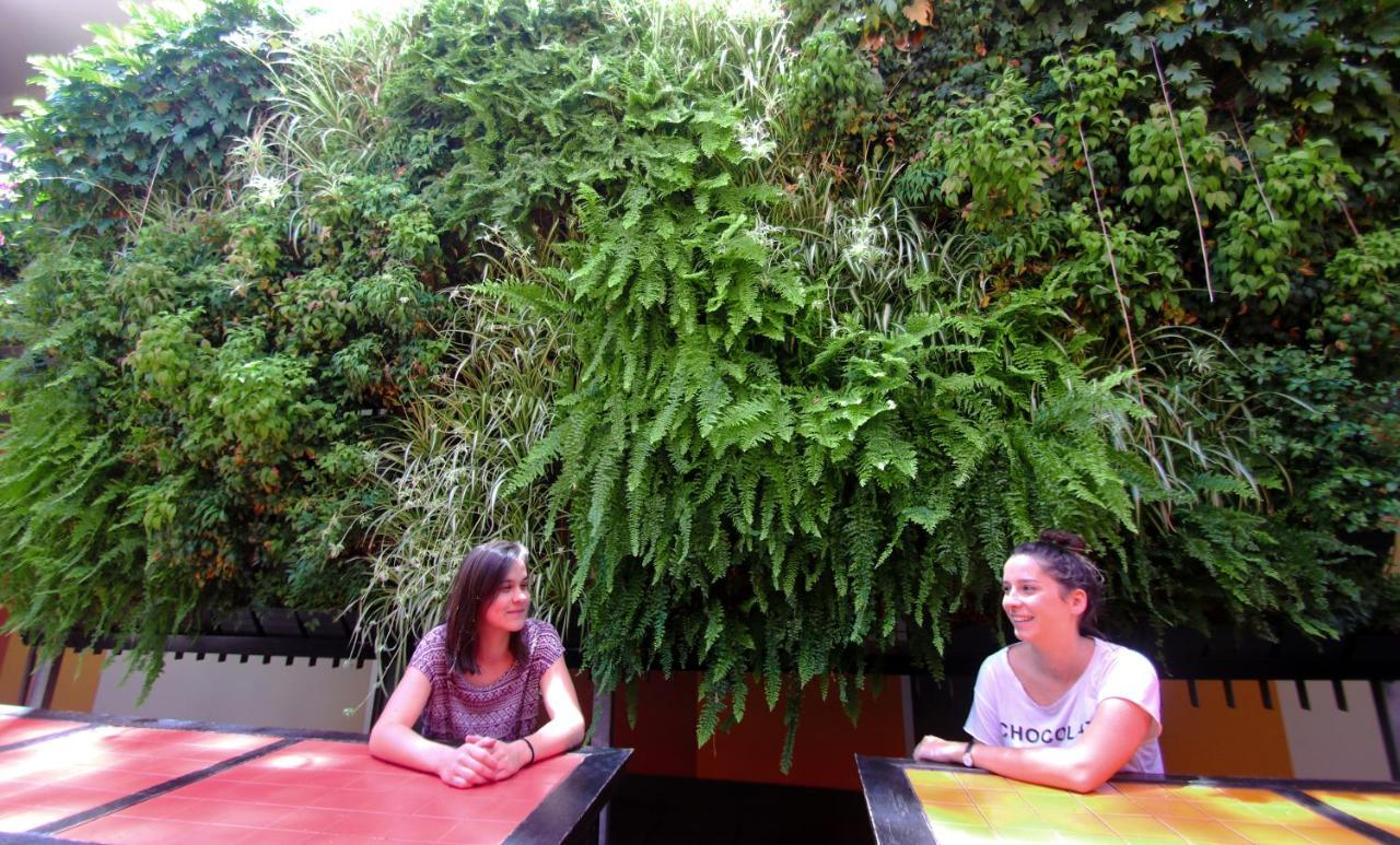 Albergue Original Backpackers