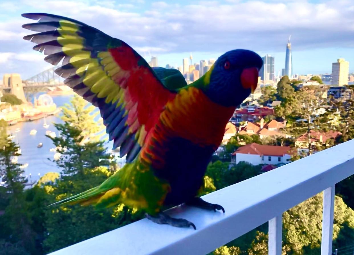 Mlb48-sydney Harbour Stunning View Studio With Free Parking * Sydney