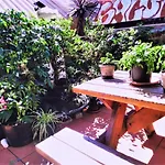 Asylum Sydney Backpackers Hostel