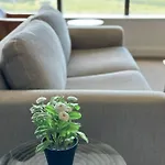 Best Location Apartment In Olympic Park