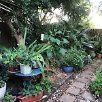 Historic Secluded Garden Cottage