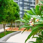 Sydneycbd 2Br Chinatown/Icc/Haymarket With Parking