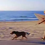 Perfect Stay 2 Min Walk To The Beach Wifi Aircon Netflix