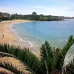 Kookaburra Down Under Coogee Beach