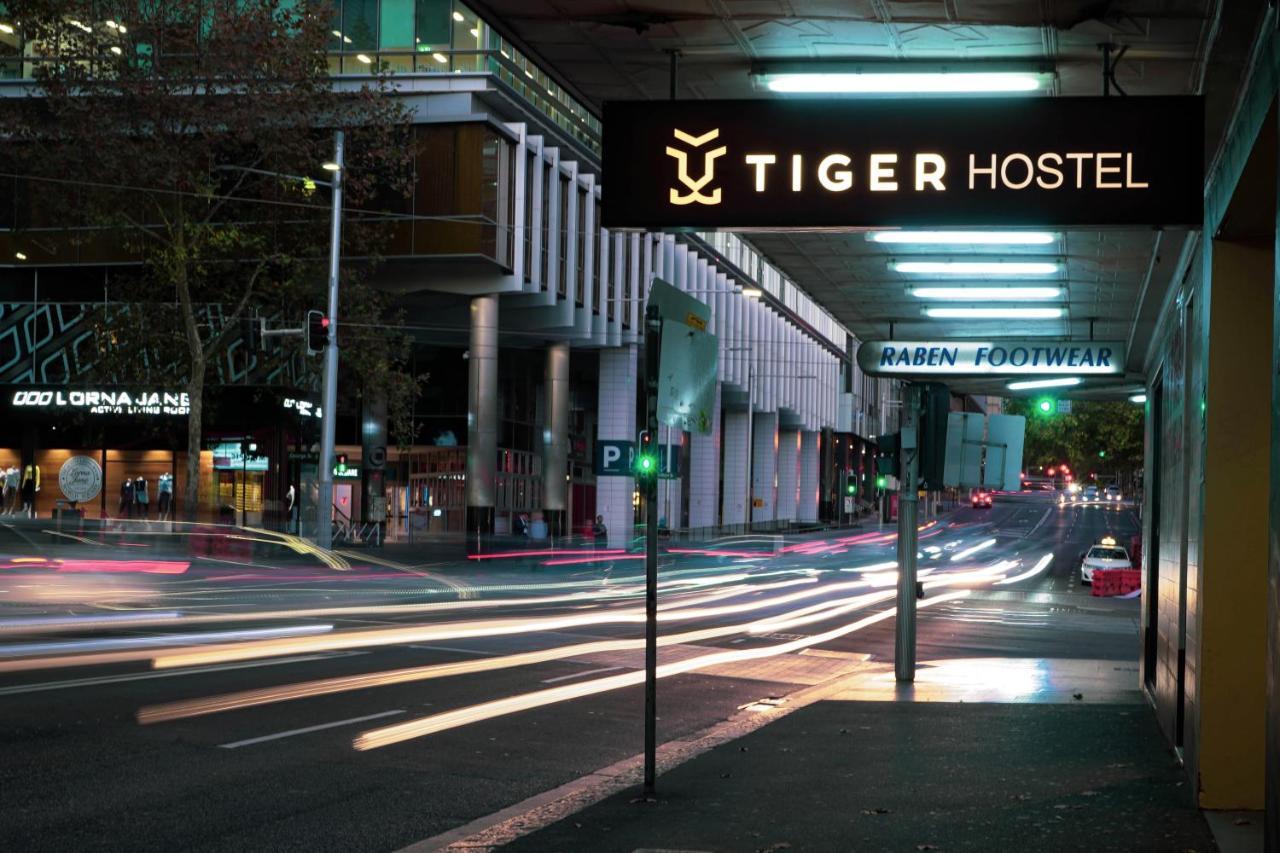 Tiger * Sydney