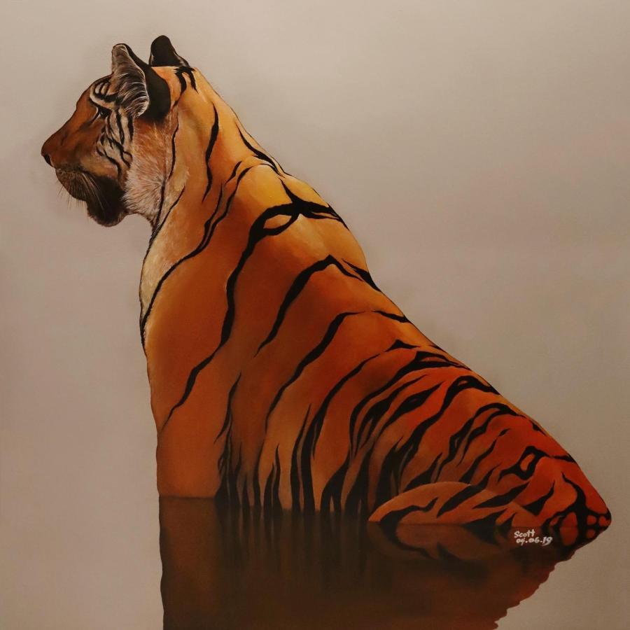 Tiger * Sydney
