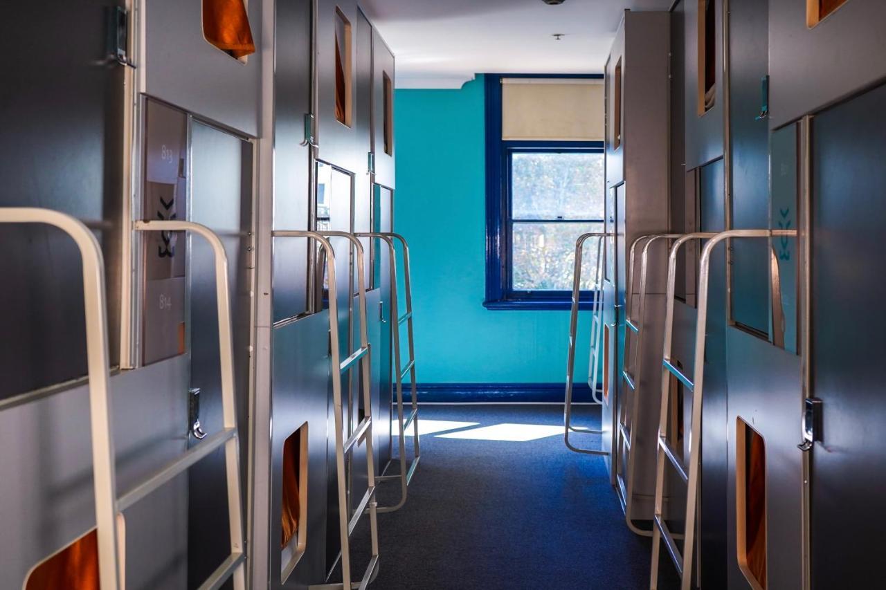 Hostel Tiger