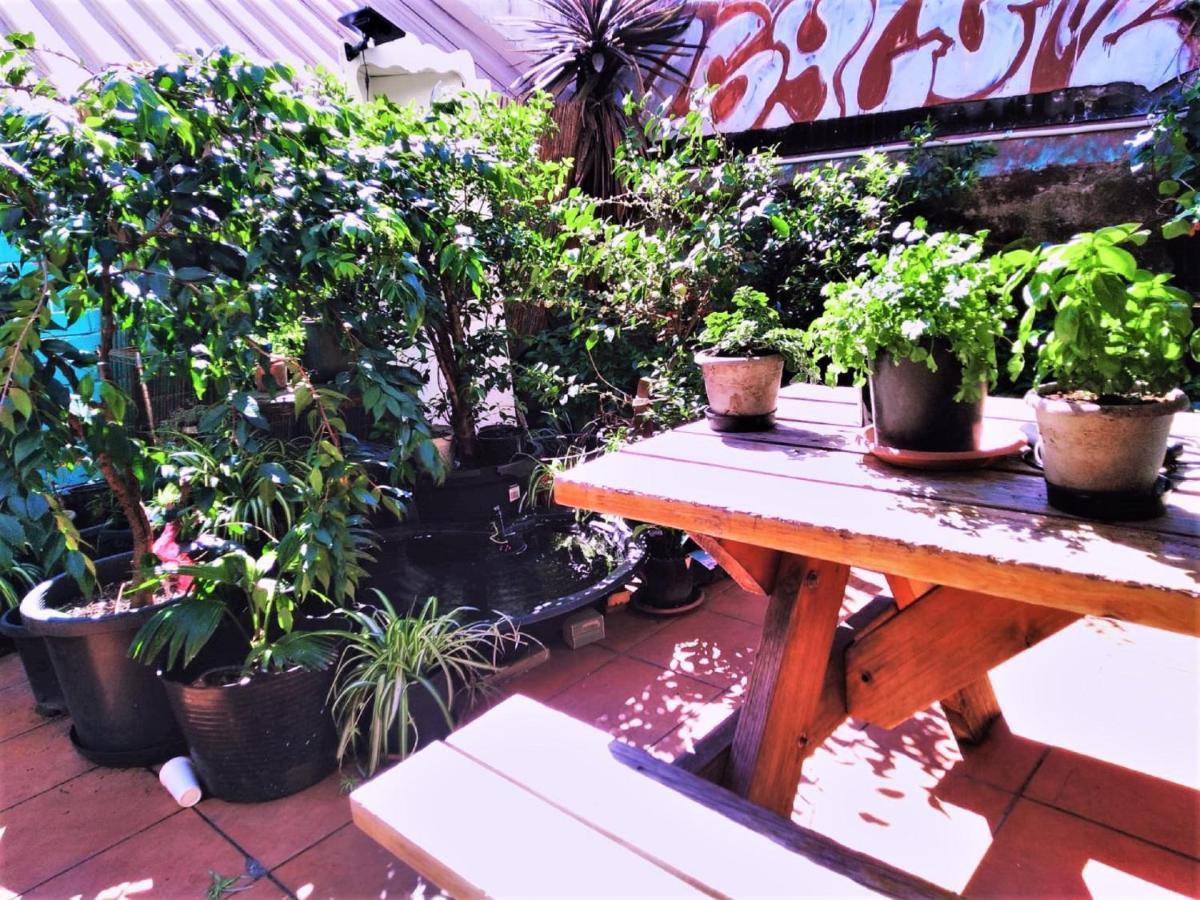 Asylum Sydney Backpackers Hostel