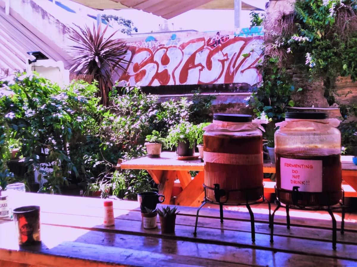 Hostel Asylum Sydney Backpackers Hostel Sydney