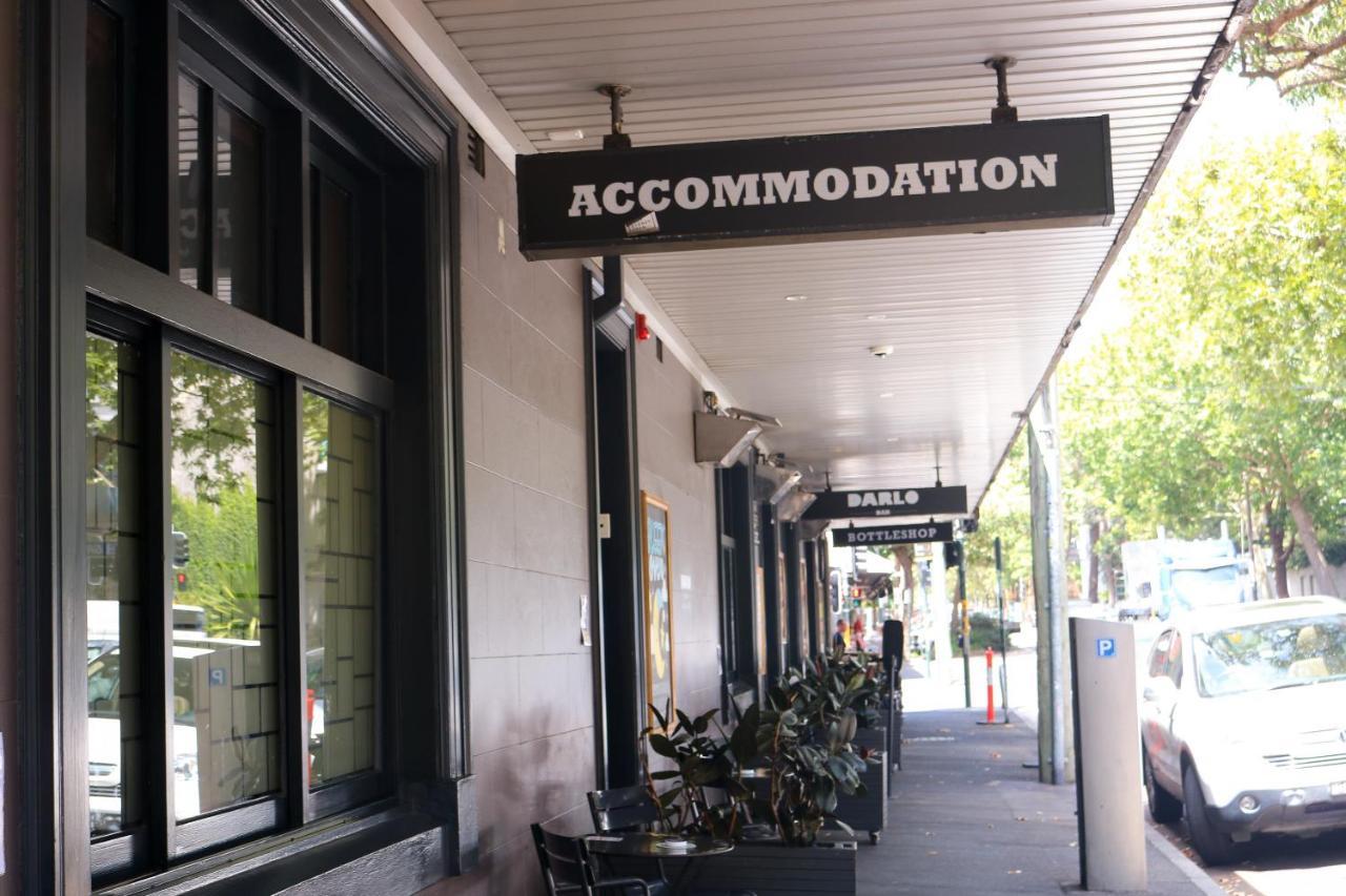 Darlo Bar Darlinghurst Sydney