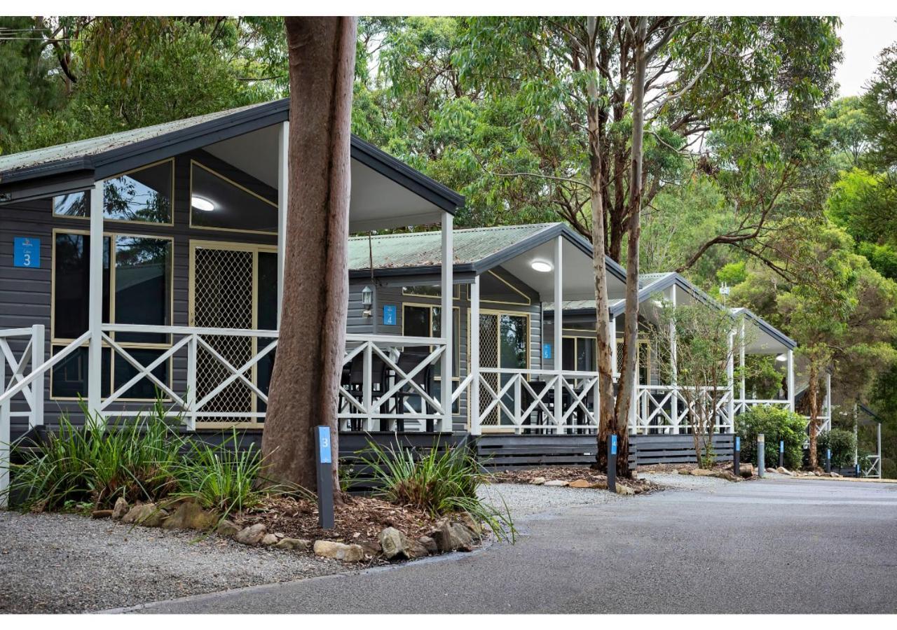 Holiday park Discovery Parks - Lane Cove 3*