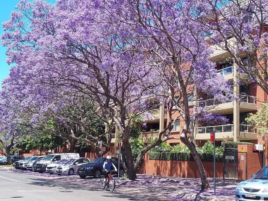 Apartment Erskineville Sydney