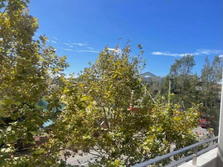 Cla26 - 1 Bedroom Unit Crows Nest Clarke Street Apartment *