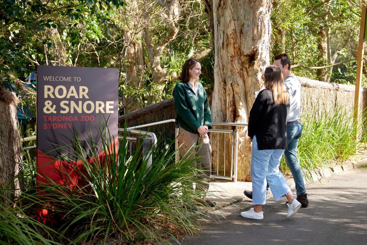 Roar And Snore Hotel