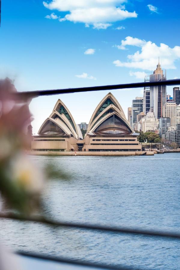 The Iconic * Sydney