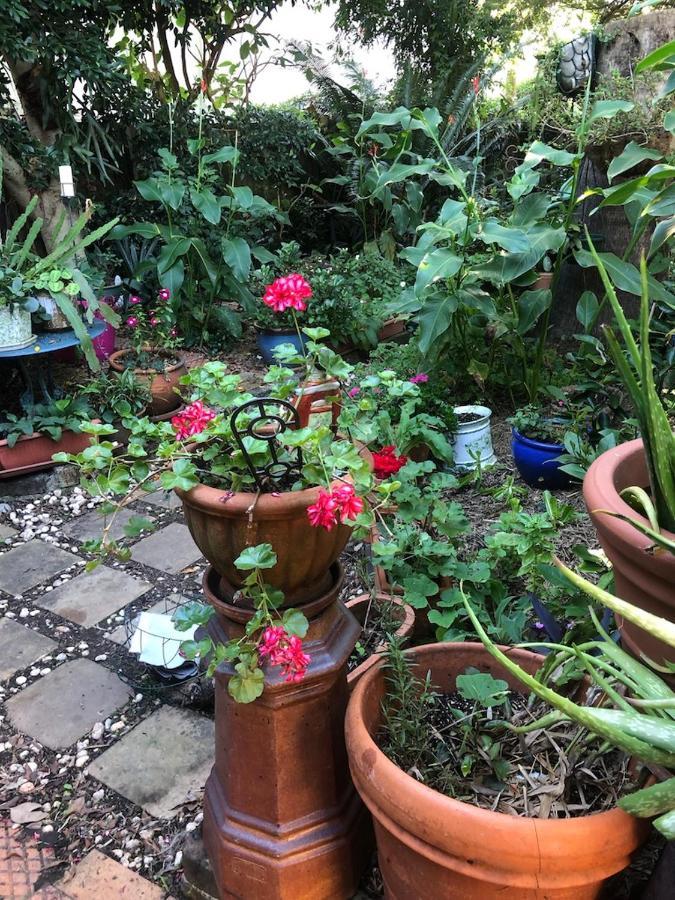 Holiday home Historic Secluded Garden