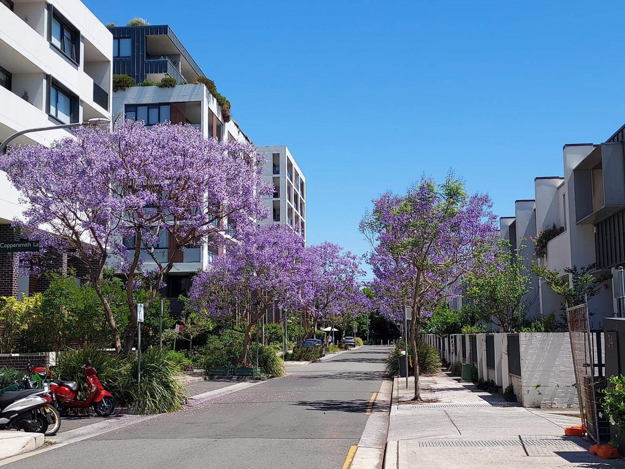 Erskineville Apartment