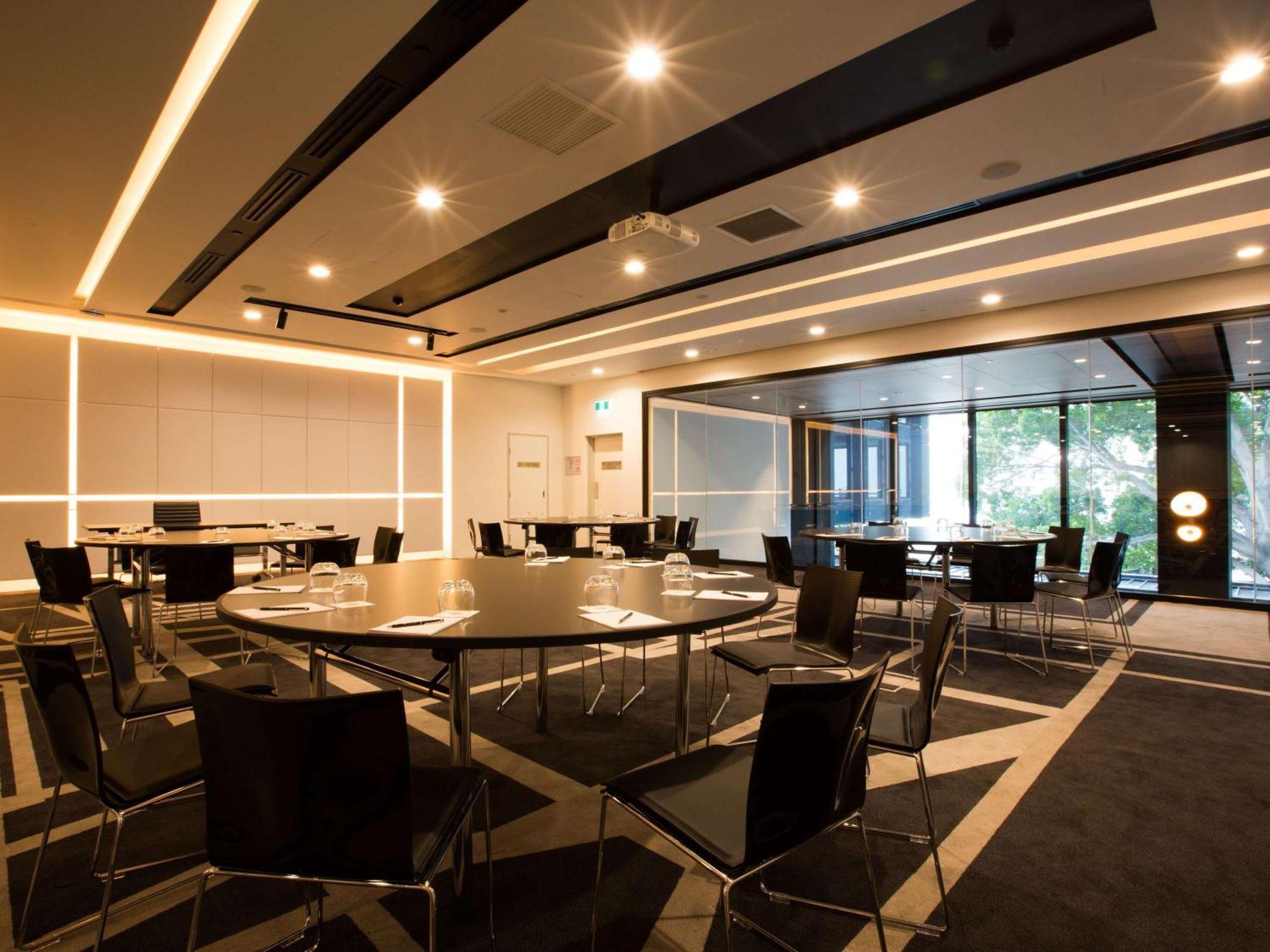Hotel Pullman Airport 5*
