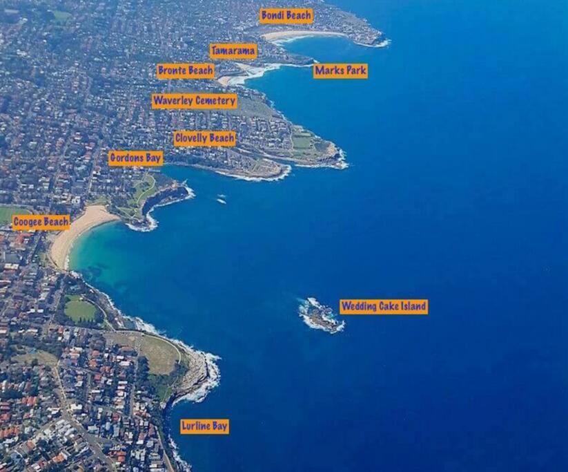 Coogee House-100m To The Beach-courtyard-ac Holiday home