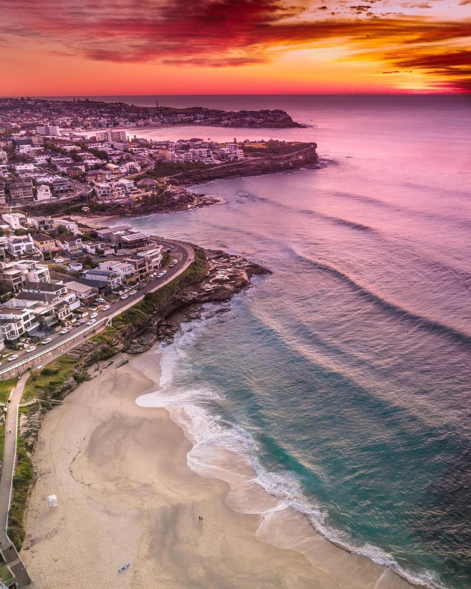 Sunny Bondi Studio Parking Couples Families Apartment Sydney