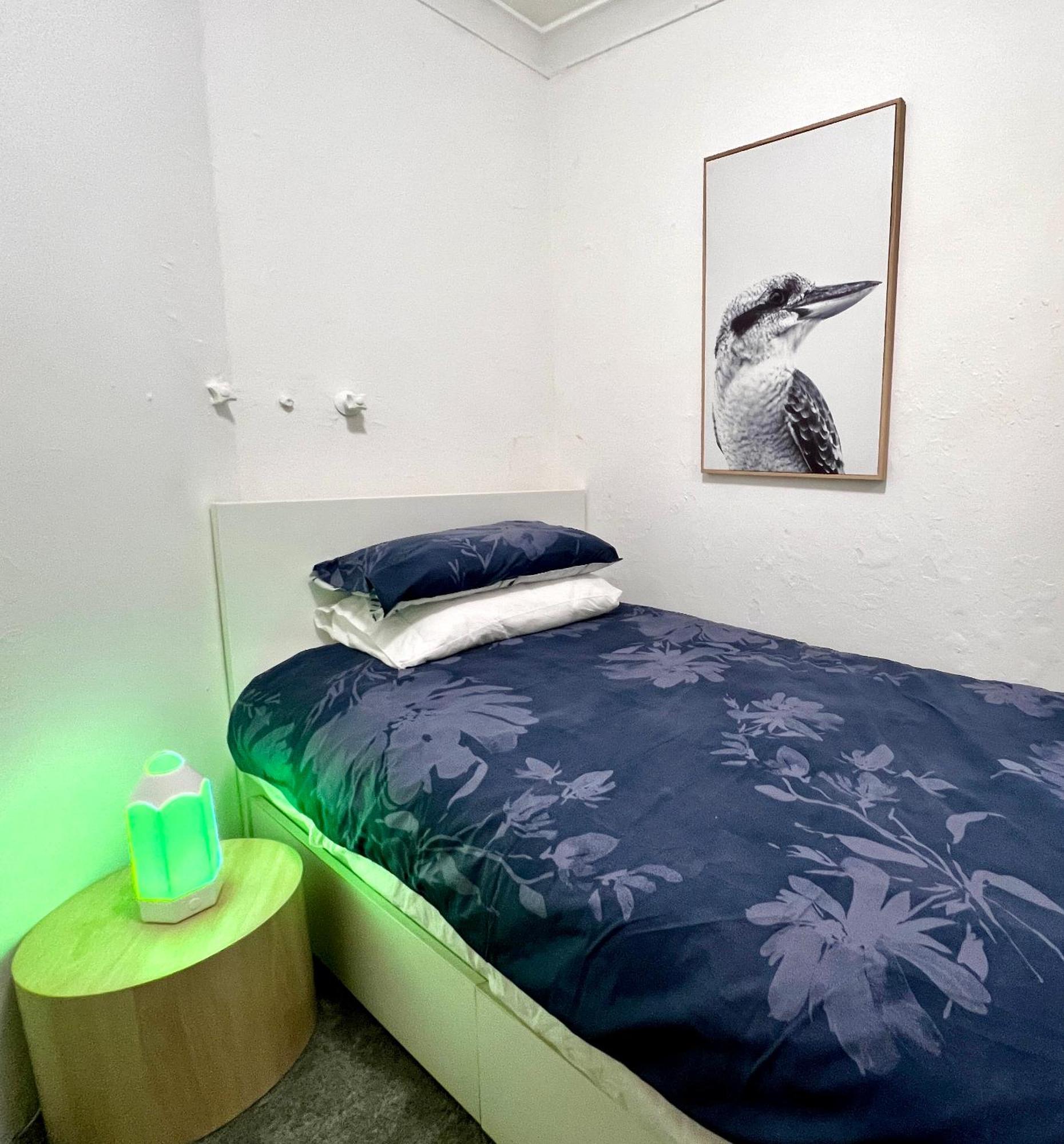Homestay Belvoir Street Department Sydney