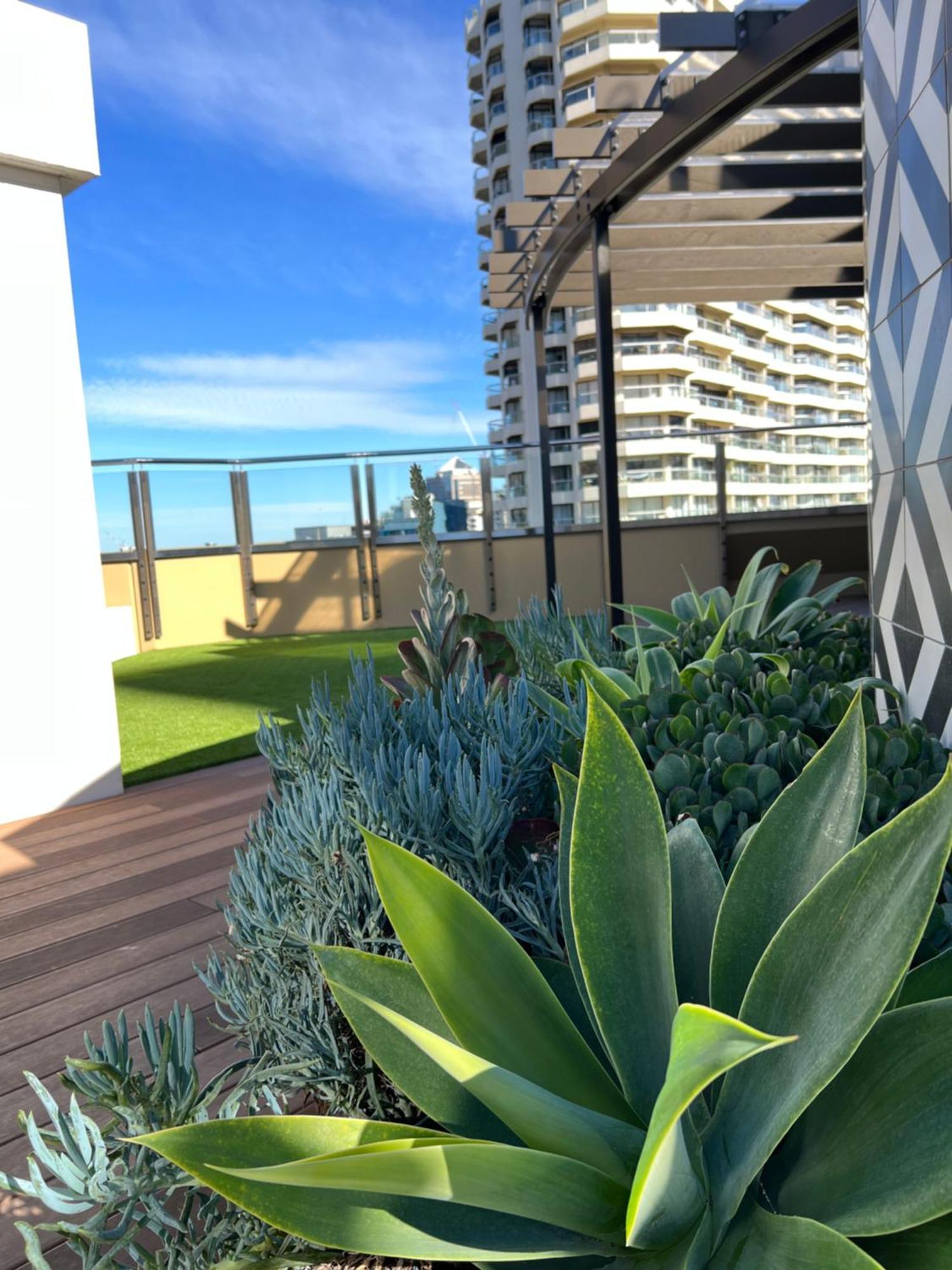 Apartment Paxsafe Hyde Park Private Sydney