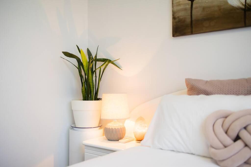 Lovely With Pool In Zetland Apartamento Sidney