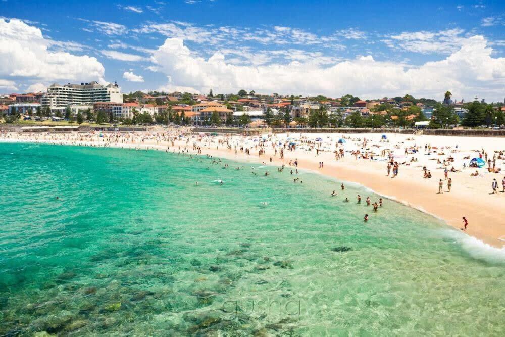 Apartment Coogee Cosy Sydney