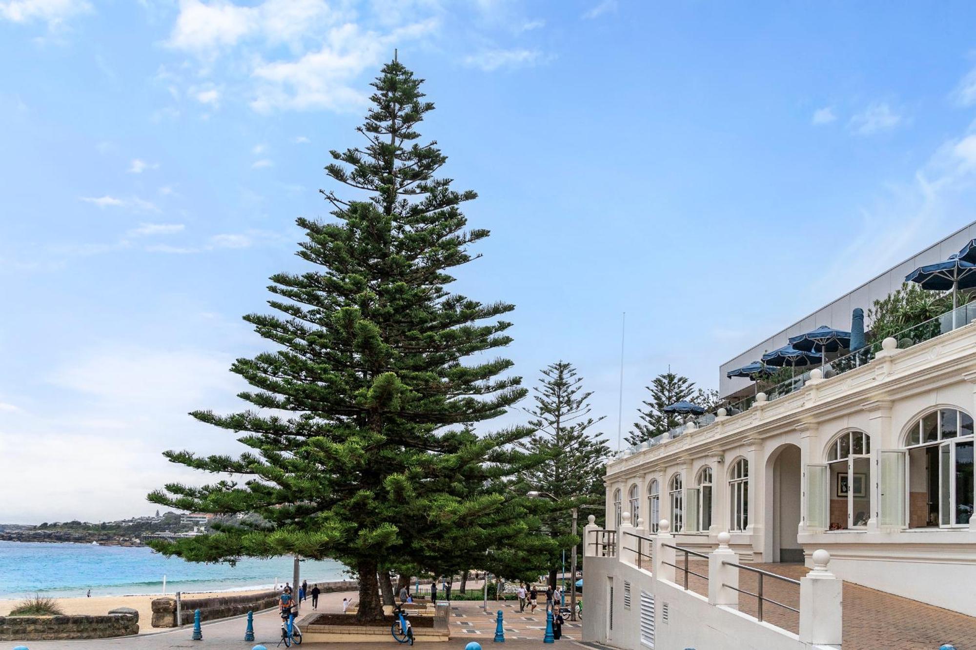 Apartment Stylish 1br With Balcony Near Coogee *