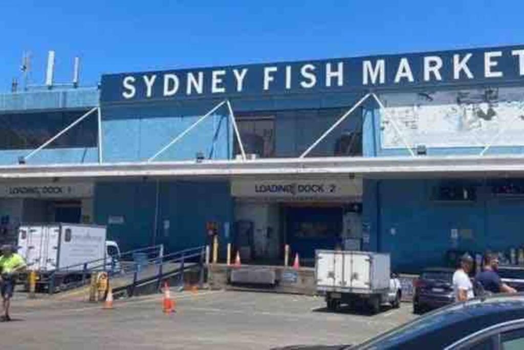 Spacious 2bds Darling Harbour & Fish Market & Icc & Cbd