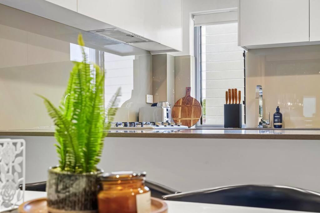 Apartment Rooftop 2 Bed With Terrace At Newtown Sydney